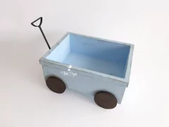 Carrinho Vagão Acompanhamento - Azul - buy online