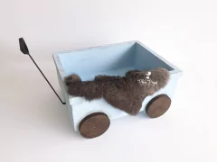 Carrinho Vagão Acompanhamento - Azul