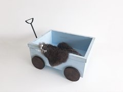 Carrinho Vagão Acompanhamento - Azul on internet