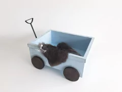 Carrinho Vagão Acompanhamento - Azul on internet
