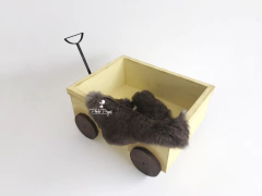 Carrinho Vagão Acompanhamento - Amarelo - buy online