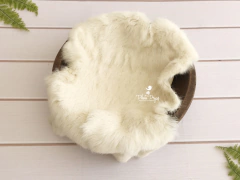 Layer - Natural Coelho Cream