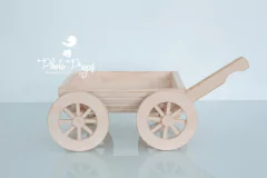 Carriola Vintage Vitorrino - Pessêgo - Photo Props