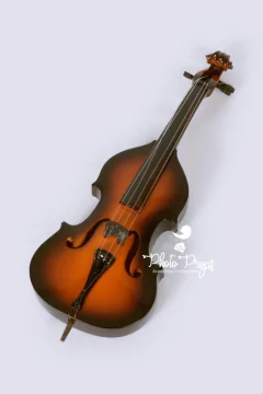 Mini ViolonCello Classic Music NewBorn on internet