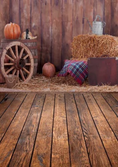Fundo Fotográfico Junino/Country