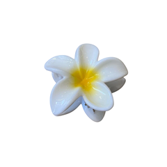 Imagen de Broche Hawai