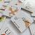 Imagen de Pack 24 Terapias