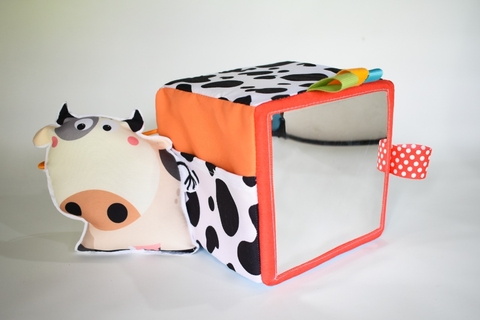 Cubo Multiactividades