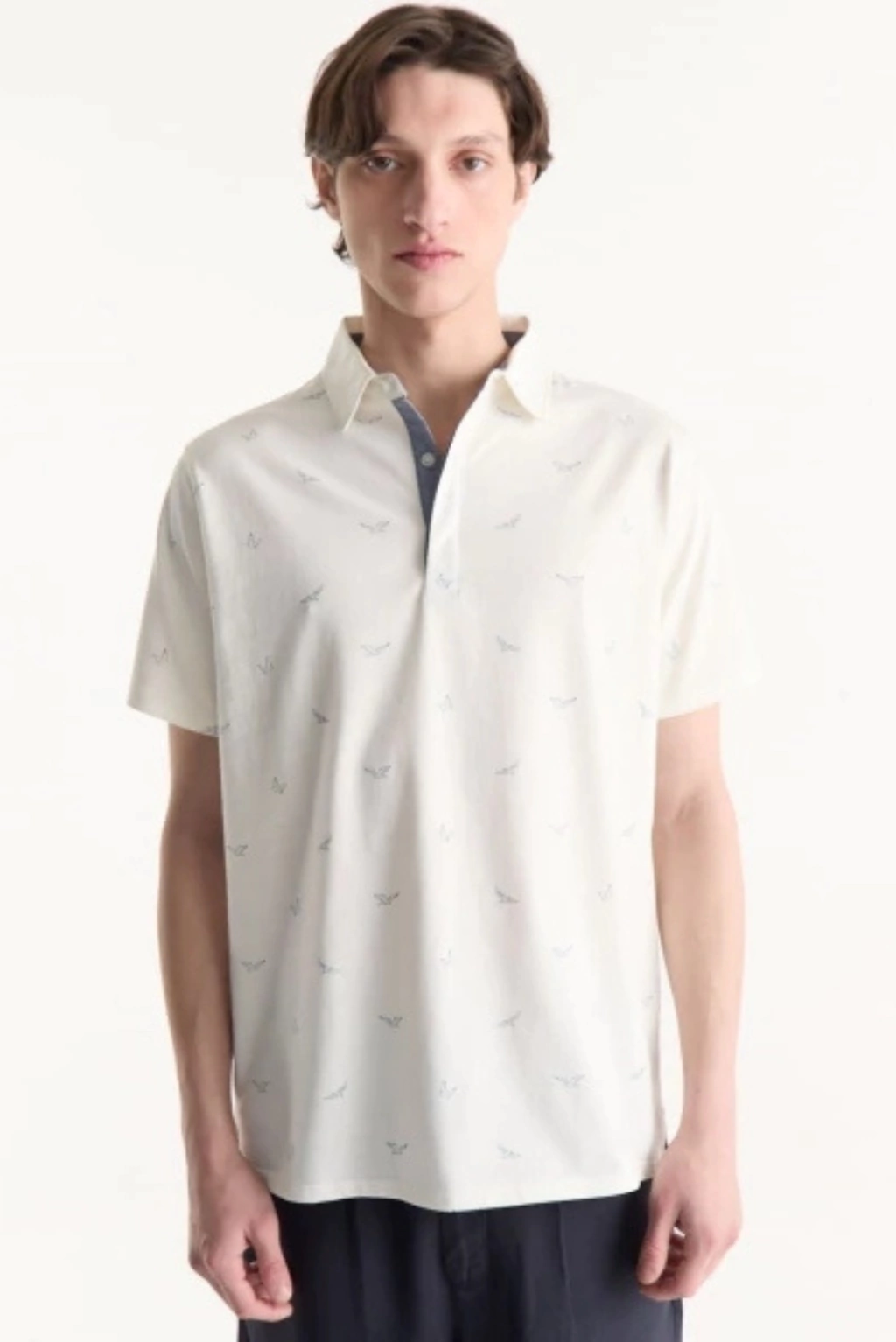 Chomba Floripa - Equus