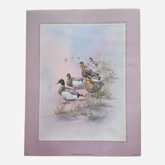 Poster / lámina "PATOS EN LA ORILLA"