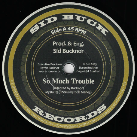 7'' Mystic 13 - So Much Trouble / Rita Marley (Soulettes) - This World (Sid Buck) (PRONTA ENTREGA)
