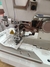 Collareta y Tapa Costura Automática Dison DS500 UT - Maquineria Cuyo - Coser y Bordar Argentina