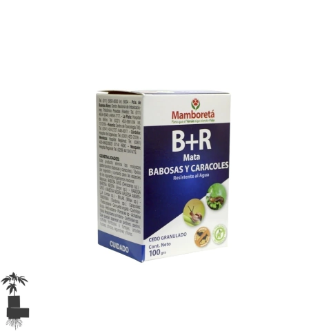 B+R 100gr MAMBORETA