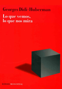 Lo que vemos lo que nos mira - Georges Didi Huberman