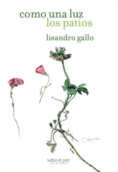 Como una luz los patios - Lisandro Gallo