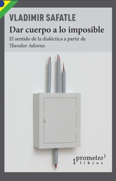 Dar cuerpo a lo imposible - Theodor Adorno, Vladimir Safatle