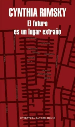 El futuro es un lugar extraño - Cynthia Rimsky