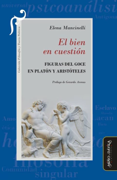 El bien en cuestión. Figuras del goce en Platón y Aristóteles - Elena Mancinelli