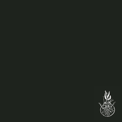 Error 404 - aavv