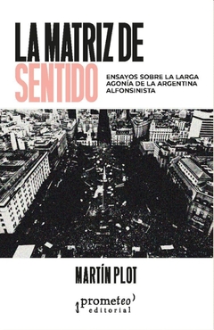 La matriz de sentido. Ensayos sobre la larga agonía de la Argentina alfonsinista - Martín Plot