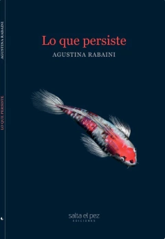 Lo que persiste - Agustina Rabaini