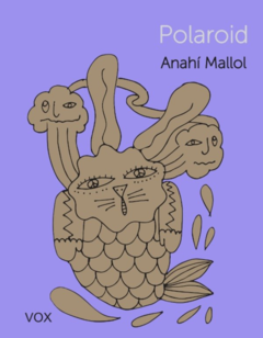Polaroid - Anahí Mallol