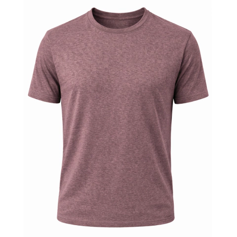 Remera Lisa