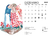 Calendário de mesa 2025 COMPLETO - comprar online