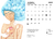 REFIL Calendário de mesa 2025 - ideal para quem já possui o suporte de madeira dos anos anteriores - loja online