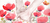 Banner rotativo 1