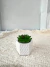 P4149 Planta suculenta artificial con maceta ceramica - objetosva