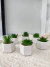 P4149 Planta suculenta artificial con maceta ceramica