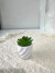 P4155 Planta Suculenta Artificial con maceta ceramica - tienda online