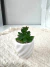 P4155 Planta Suculenta Artificial con maceta ceramica - objetosva