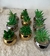 P329 Plantita Suculenta artificial con Maceta Ceramica
