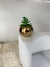 P329 Plantita Suculenta artificial con Maceta Ceramica en internet