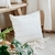 Almohadon Golden 50 x 50