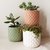 Maceta Piña Chica - Geranio Home & Co