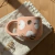 Taza Jazmin Oro