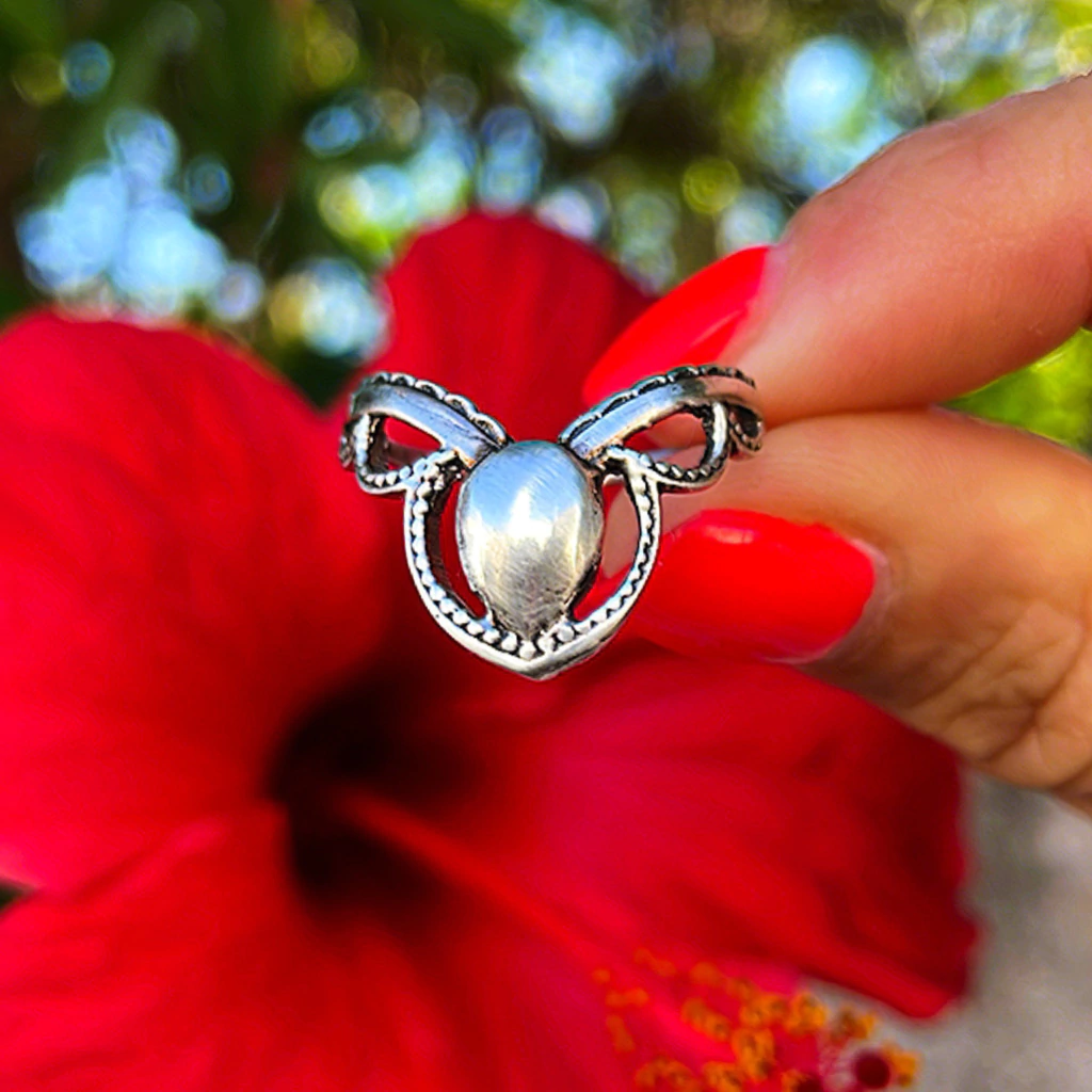 Anillo TIMRU