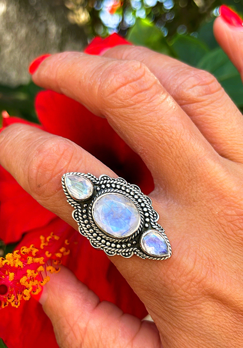 Anillo ARDHA II