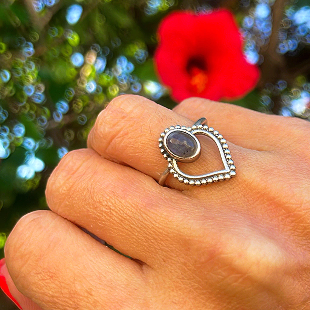 Anillo INDA I