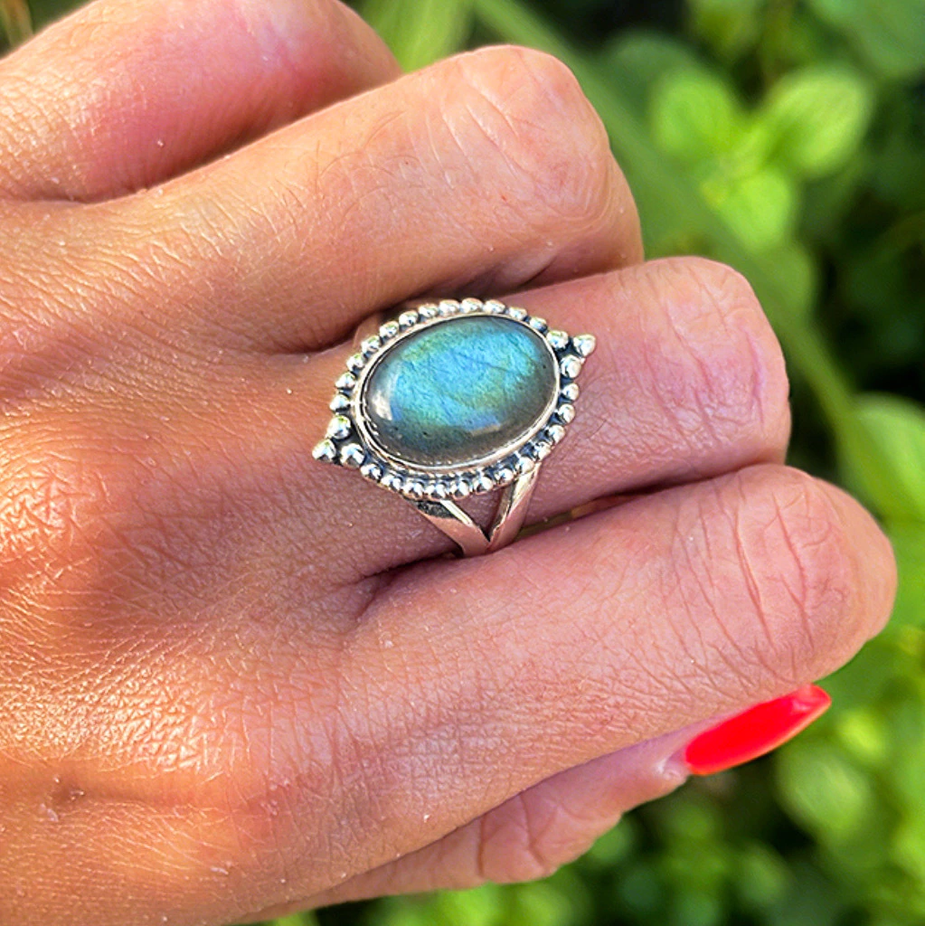 Anillo DAUDA