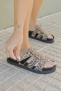 SALMA CHITA - comprar online
