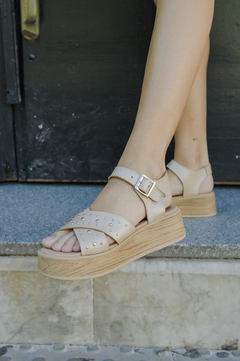 LUCIA CHAMPAGNE - tienda online