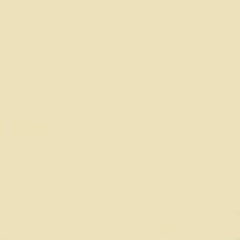 Individual Cuerina Beige 46x31 cm