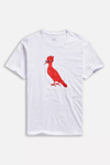 Camiseta Pica-Pau Meme 0039033-014