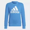 Moletom Infantil Essentials - Azul adidas HG1098