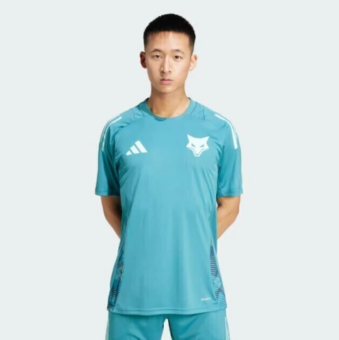Camisa de Treino Cruzeiro Adidas 2025 JE4194 na internet