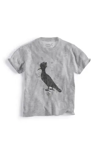 Camiseta Reserva Mini Pica-Pau Dark - 0030931-024